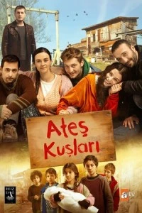 Жар-птицы - постер